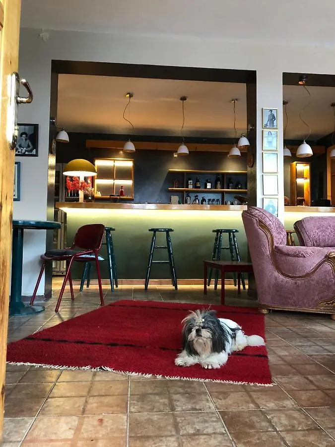 Red Goat Hostel Tirana Albanie